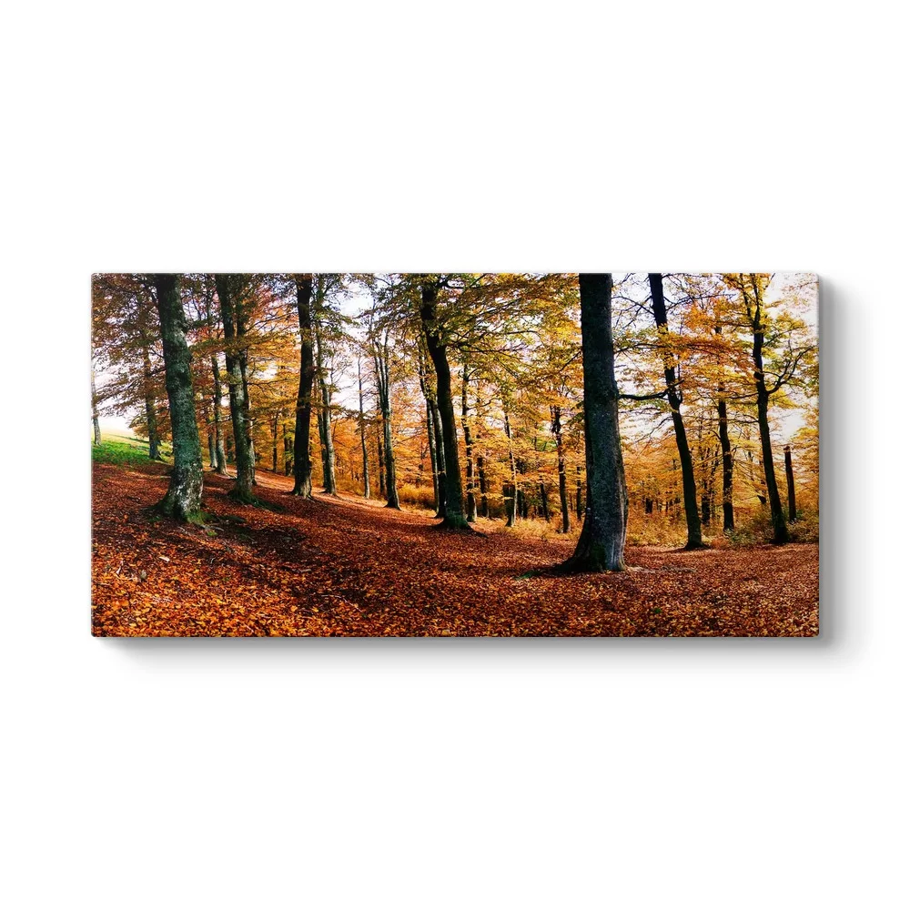 Forest Tablosu - Model 5